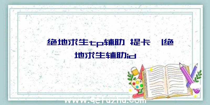 「绝地求生tp辅助